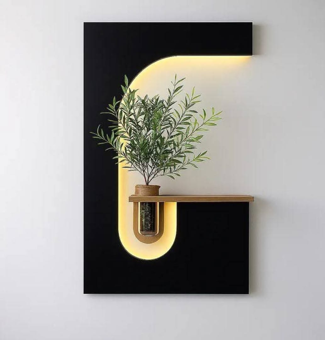 Designer black backlit wall panel with plant shelf
